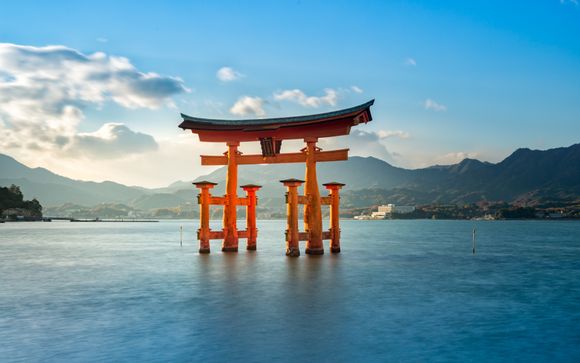 Zoom sur votre programme