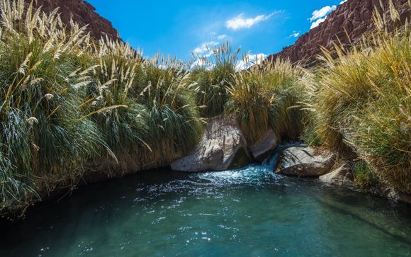 Mettez une option sur l