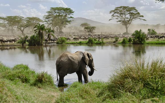 Zoom sur votre programme