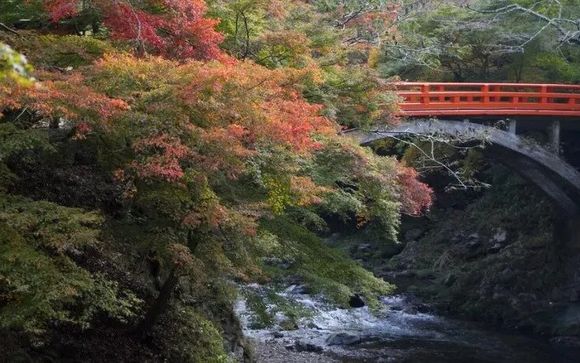 Mettez une option sur l