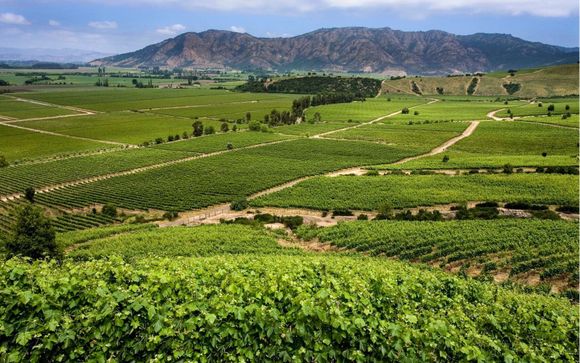 Zoom sur votre programme