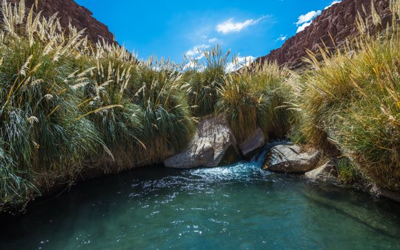 Mettez une option sur l