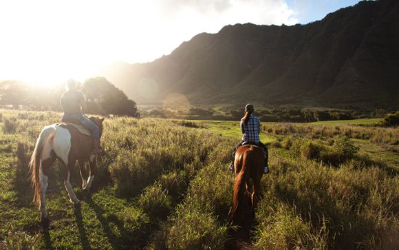 Mettez une option sur l