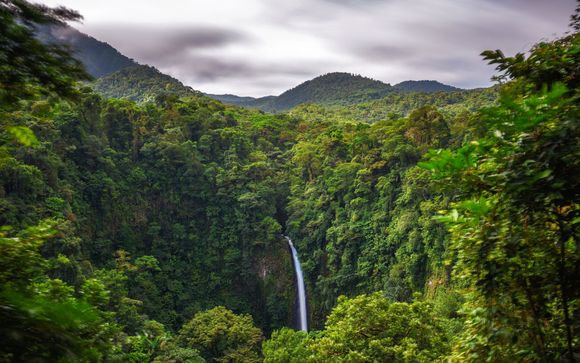 Mettez une option sur l