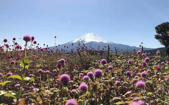 Mettez une option sur l