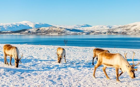 Mettez une option sur l