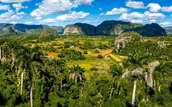 Mettez une option sur l