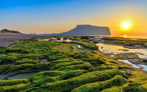 Zoom sur votre programme