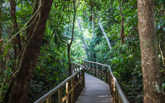 Mettez une option sur l