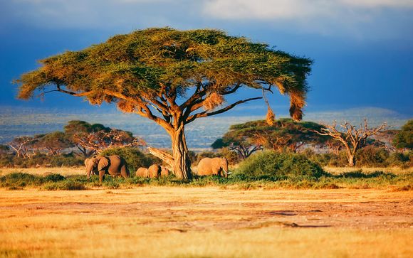 Zoom sur votre programme