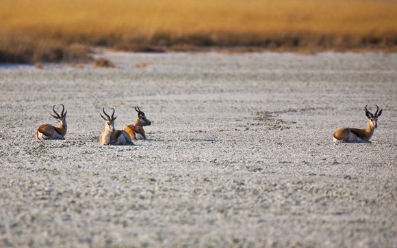 Mettez une option sur l