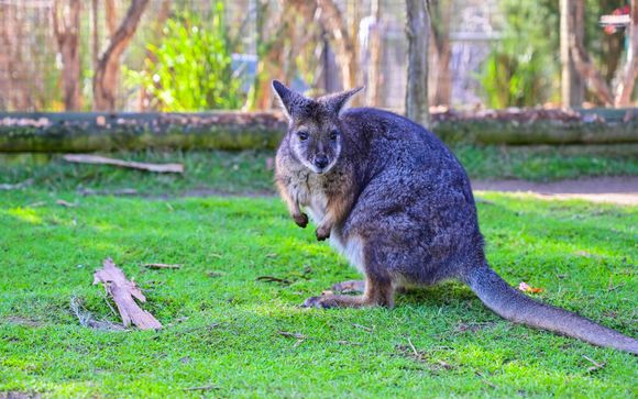 Mettez une option sur l