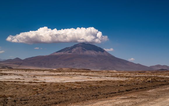 Zoom sur votre programme