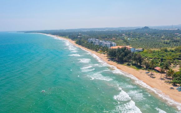 Zoom sur votre programme