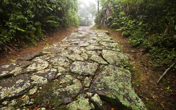 Mettez une option sur l