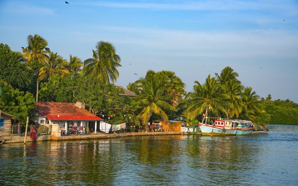 Zoom sur votre programme