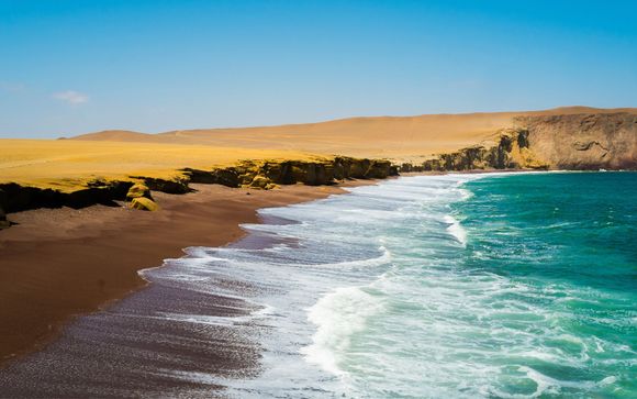 Zoom sur votre programme