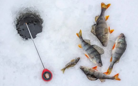 Zoom sur votre programme