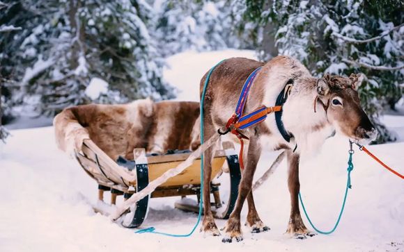 Zoom sur votre programme