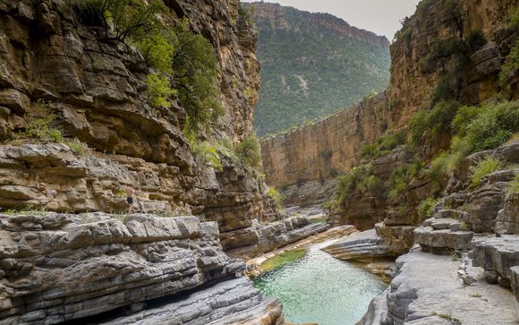 Mettez une option sur l