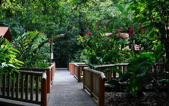 Pour votre confort durant le circuit