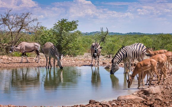 Zoom sur votre programme