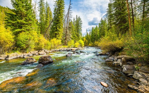 Zoom sur votre programme