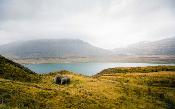 Zoom sur votre programme