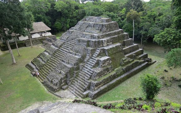 Mettez une option sur l