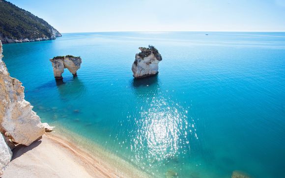 Zoom sur votre programme