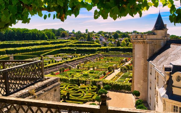 Découverte des Châteaux de la Loire