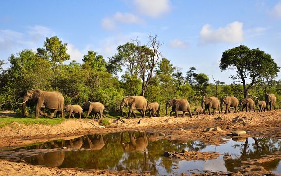 Rendez-vous... en Afrique du Sud
