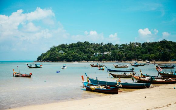 Rendez-vous... en Chine et en Thaïlande