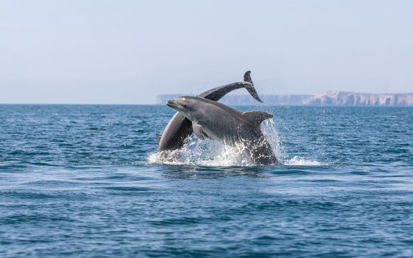 Votre excursion incluse