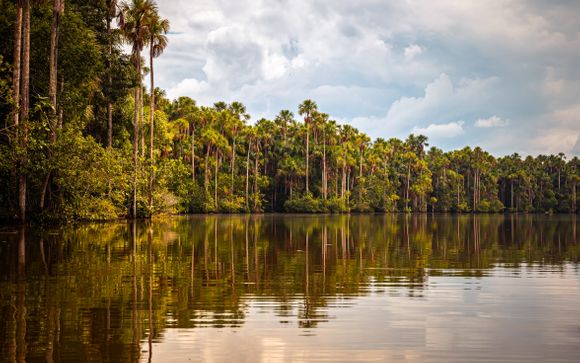 Zoom sur votre programme