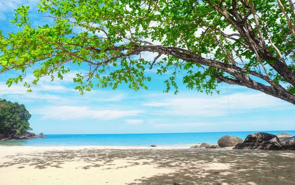 Zoom sur votre programme