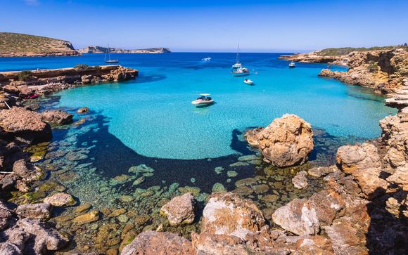 Vos excursions pour plus d