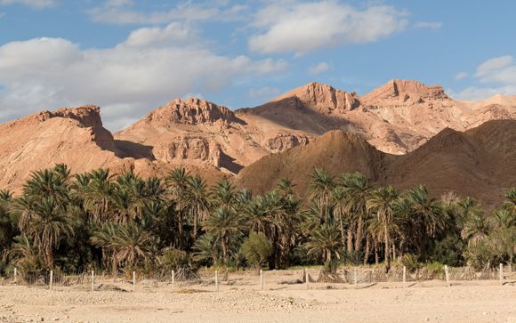 Zoom sur votre programme