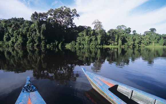 Zoom sur votre programme