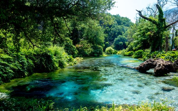 Zoom sur votre programme