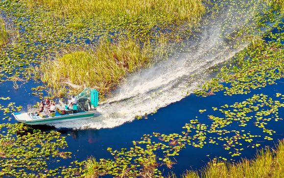 Les Everglades