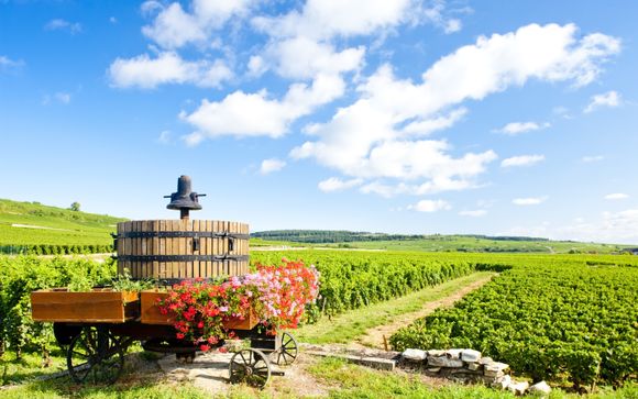 L'Art de la Bourgogne : Immersion au Caveau Moillard