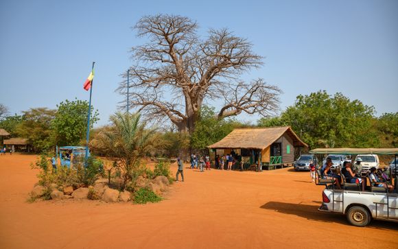 Réserve de Bandia : safari au cœur de la savane sénégalaise