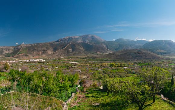 Une visite de la Bodega écologique Cortijo  El Cura et dégustation de vin accompagnée d’un apéritif local