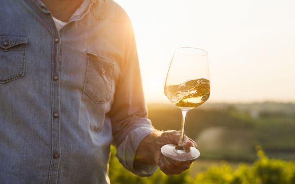 Visite d’une cave et dégustation de vins à Bevagna
