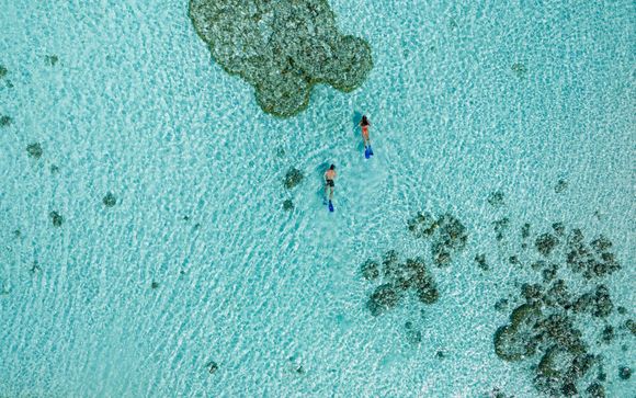Snorkeling sur le récif de l'hôtel