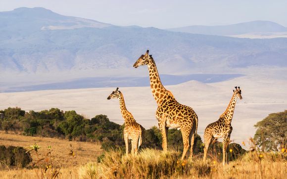 Rendez-vous... en Afrique du Sud