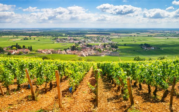 Rendez-vous... à Beaune