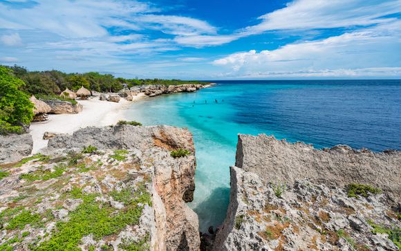 Vos excursions pour plus d