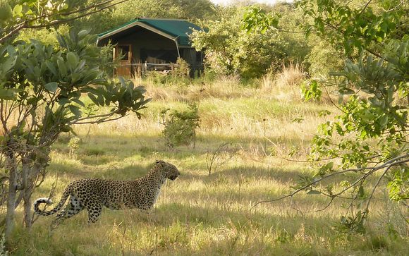 Poussez les portes du Sango Safari Camp